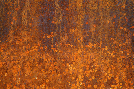 RustinBloom_8